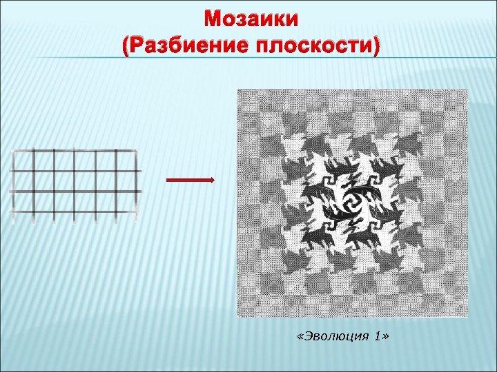 Мозаики (Разбиение плоскости) «Эволюция 1» 