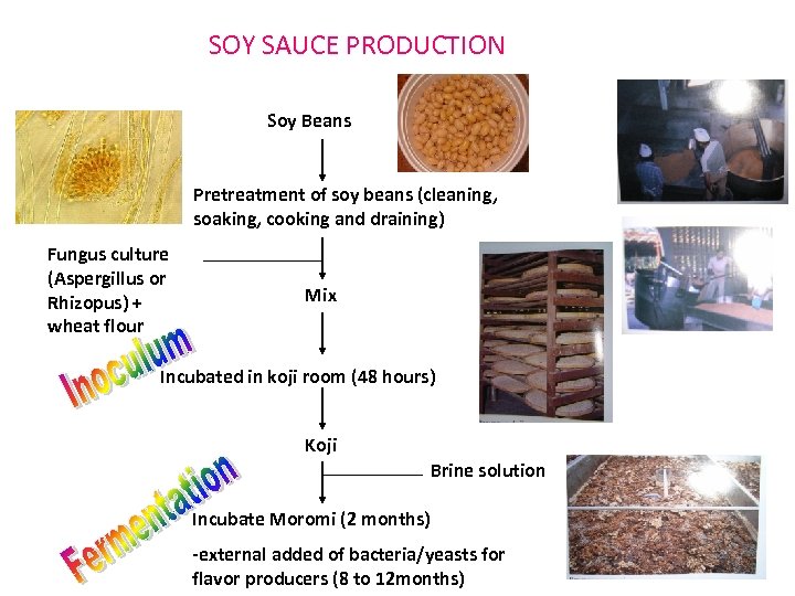 SOY SAUCE PRODUCTION Soy Beans Pretreatment of soy beans (cleaning, soaking, cooking and draining)