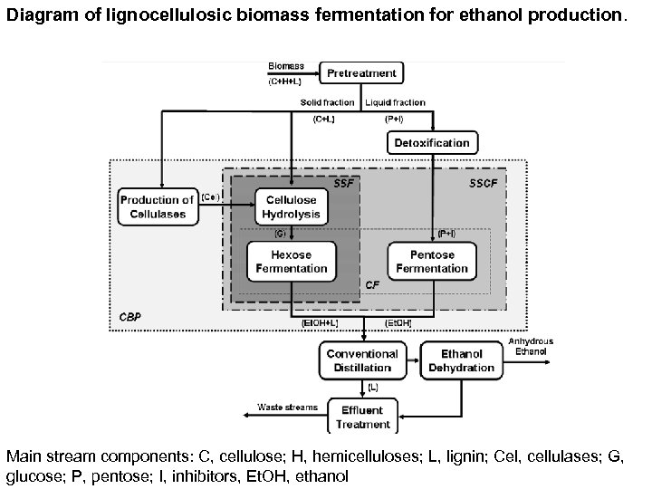 Diagram of lignocellulosic biomass fermentation for ethanol production. Main stream components: C, cellulose; H,