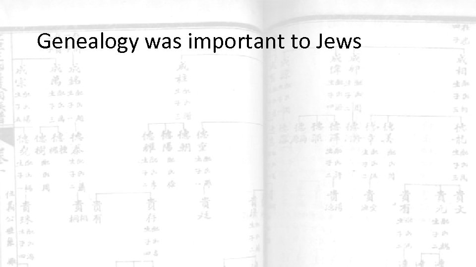 Genealogy was important to Jews 