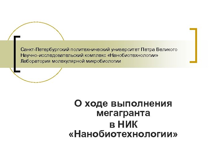 Санкт-Петербургский политехнический университет Петра Великого Научно-исследовательский комплекс «Нанобиотехнологии» Лаборатория молекулярной микробиологии О ходе выполнения