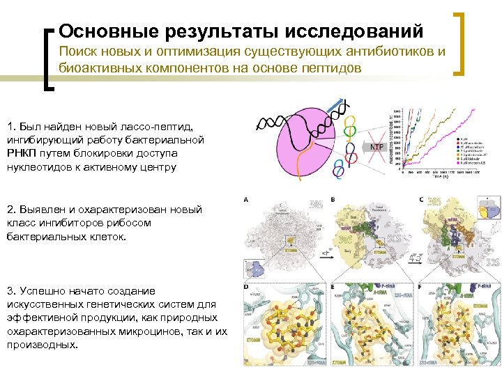 Основные результаты исследований Поиск новых и оптимизация существующих антибиотиков и биоактивных компонентов на основе