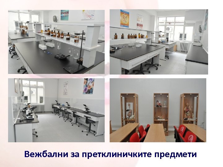 Вежбални за претклиничките предмети 