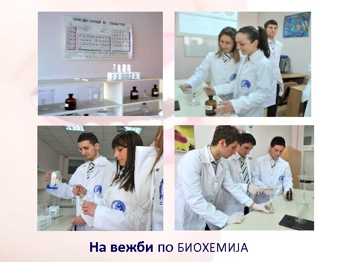 На вежби по БИОХЕМИЈА 