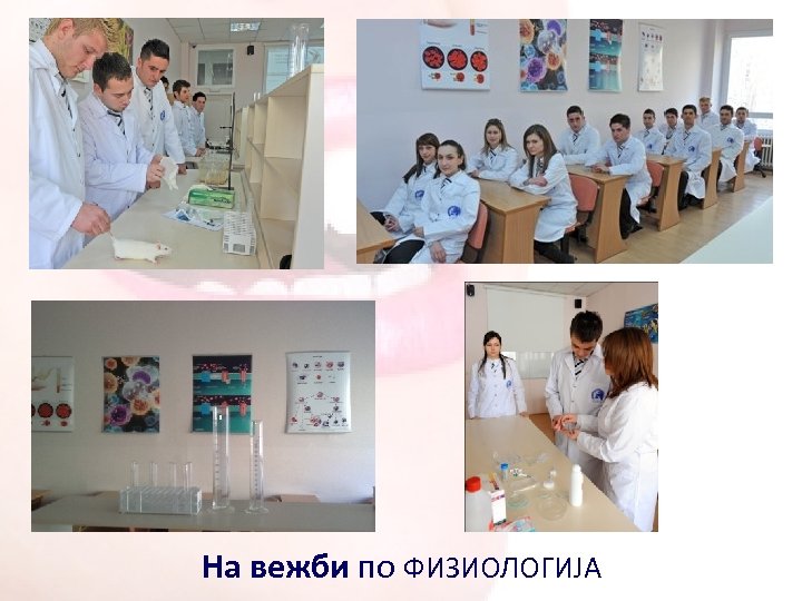 На вежби по ФИЗИОЛОГИЈА 