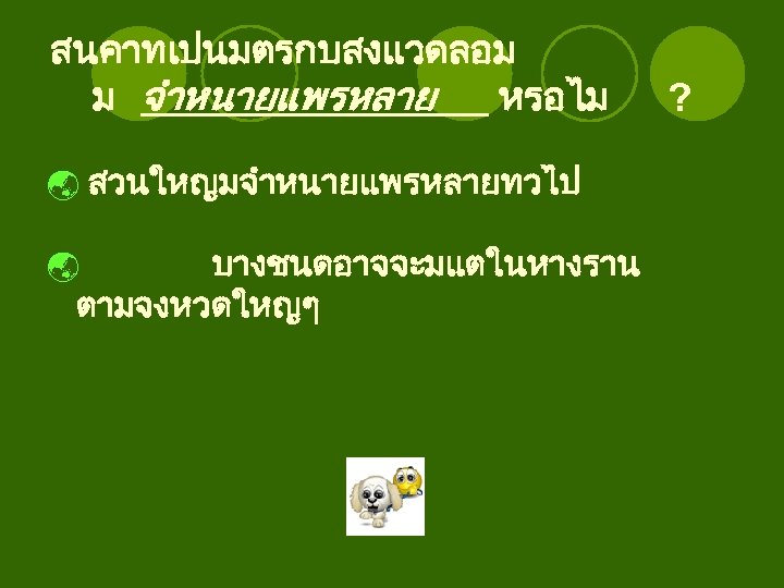 สนคาทเปนมตรกบสงแวดลอม ม จำหนายแพรหลาย หรอไม ý สวนใหญมจำหนายแพรหลายทวไป บางชนดอาจจะมแตในหางราน ตามจงหวดใหญๆ ý ? 