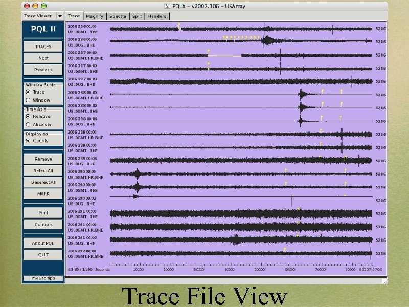 Trace File View 