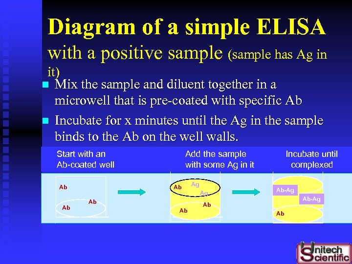 Diagram of a simple ELISA with a positive sample (sample has Ag in it)