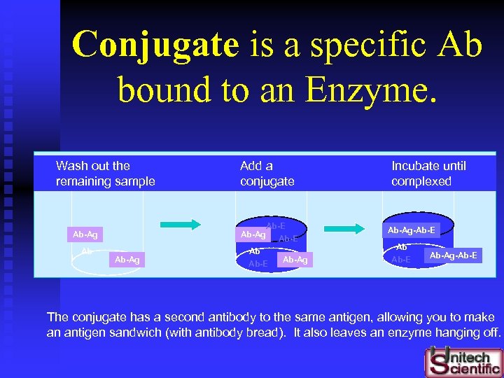 Conjugate is a specific Ab bound to an Enzyme. Wash out the remaining sample