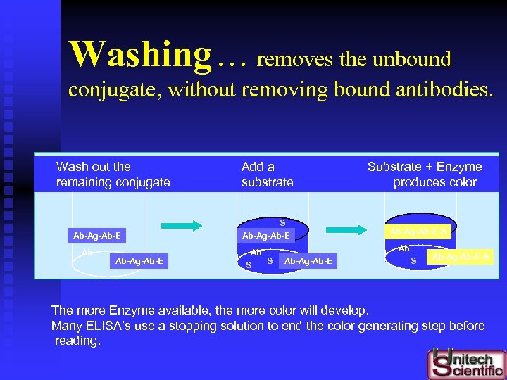 Washing. . . removes the unbound conjugate, without removing bound antibodies. Wash out the