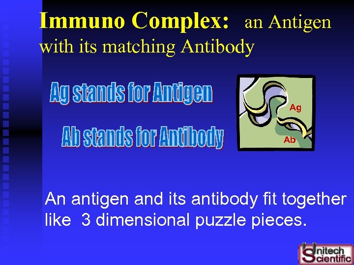 Immuno Complex: an Antigen with its matching Antibody Ag Ab An antigen and its