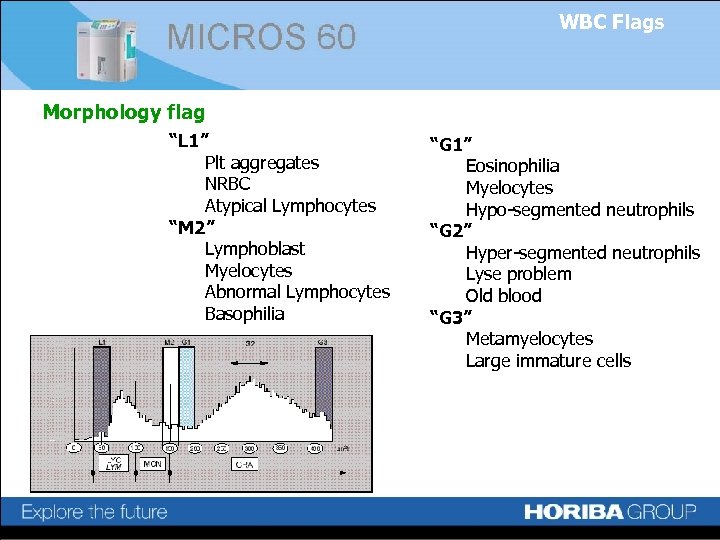 WBC Flags Morphology flag “L 1” Plt aggregates NRBC Atypical Lymphocytes “M 2” Lymphoblast