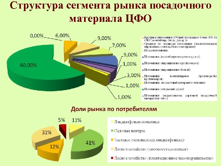 Структура сегмента рынка посадочного материала ЦФО 