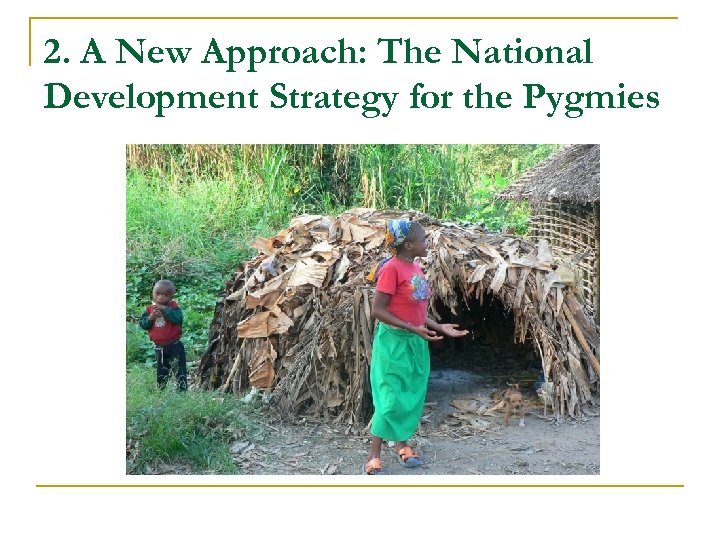 2. A New Approach: The National Development Strategy for the Pygmies 