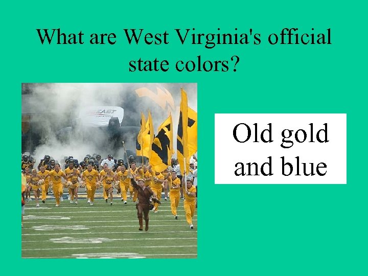 What are West Virginia's official state colors? Old gold and blue 