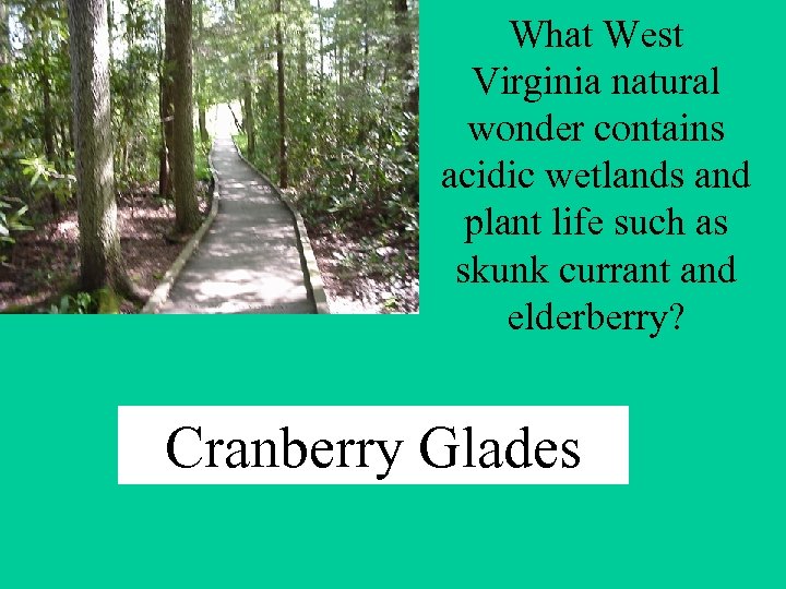 What West Virginia natural wonder contains acidic wetlands and plant life such as skunk