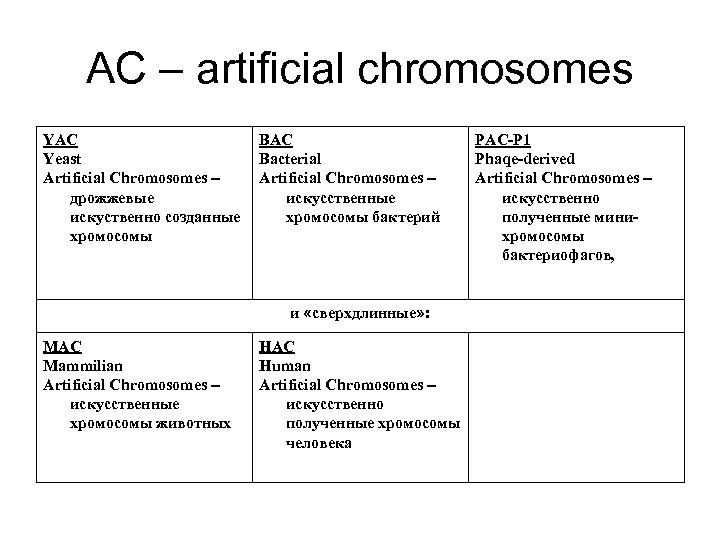 AC – artificial chromosomes YAC Yeast Artificial Chromosomes – дрожжевые искуственно созданные хромосомы BAC