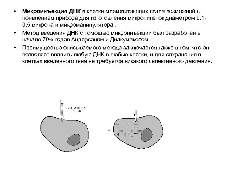  • • • Микроинъекция ДНК в клетки млекопитающих стала возможной с появлением прибора