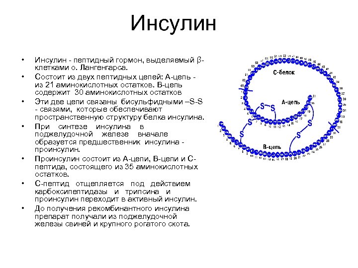 Схема получения рекомбинантного инсулина