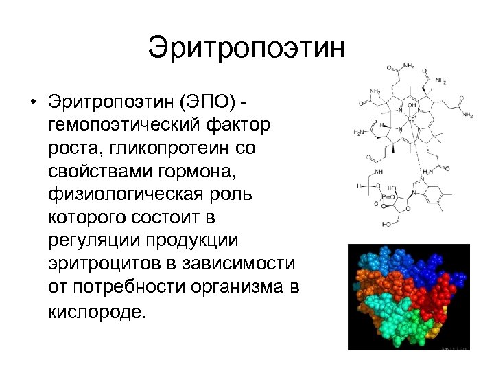 Эритропоэтин • Эритропоэтин (ЭПО) гемопоэтический фактор роста, гликопротеин со свойствами гормона, физиологическая роль которого