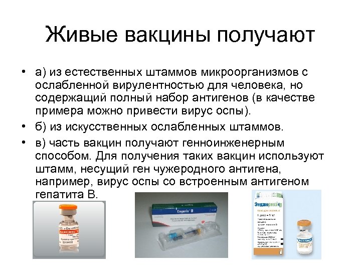 Живые вакцины получают • а) из естественных штаммов микроорганизмов с ослабленной вирулентностью для человека,