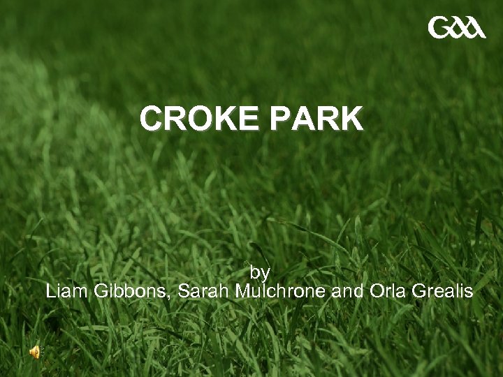 CROKE PARK by Liam Gibbons, Sarah Mulchrone and Orla Grealis 