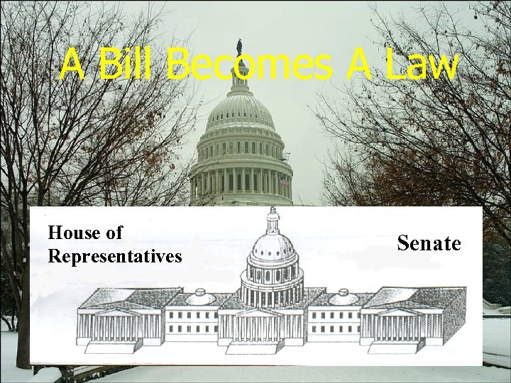 A Bill Becomes A Law House of Representatives Senate 