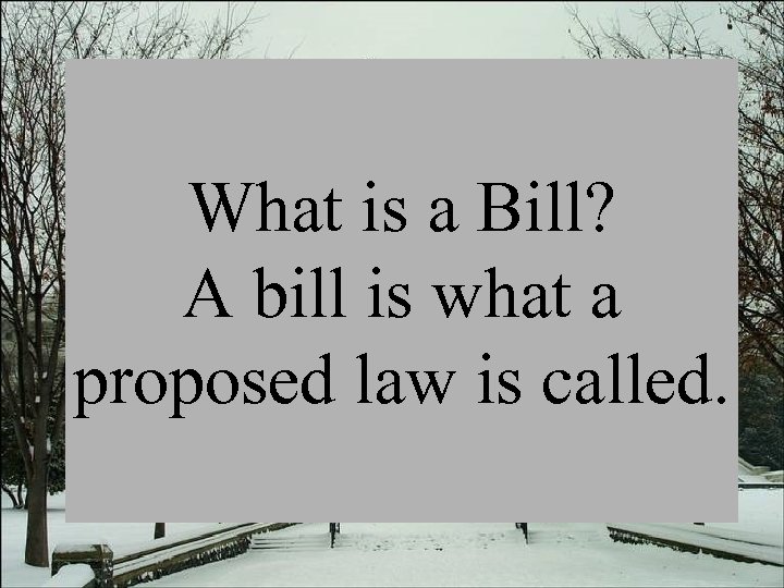 What is a Bill? A bill is what a proposed law is called. 