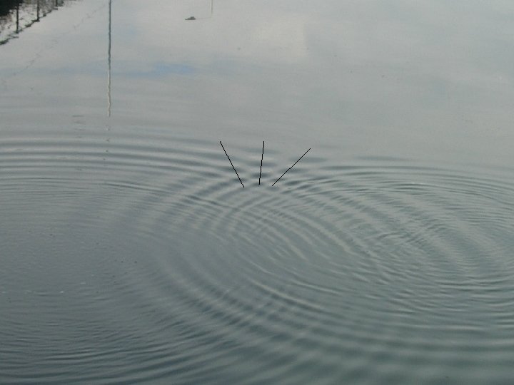 Interference of water waves PDST Resources for Science for the Primary School Teacher: Light