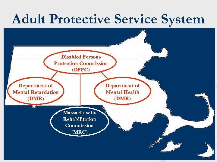 Adult Protective Service System Disabled Persons Protection Commission (DPPC) Department of Mental Retardation (DMR)