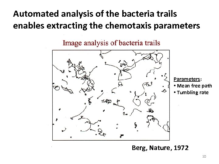 Automated analysis of the bacteria trails enables extracting the chemotaxis parameters Parameters: • Mean