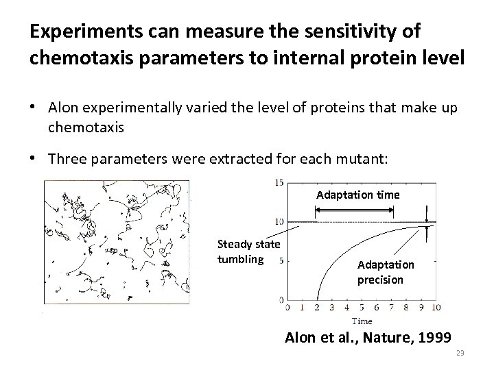 Experiments can measure the sensitivity of chemotaxis parameters to internal protein level • Alon