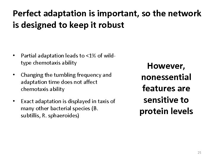 Perfect adaptation is important, so the network is designed to keep it robust •