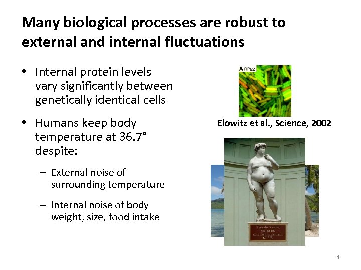 Many biological processes are robust to external and internal fluctuations • Internal protein levels