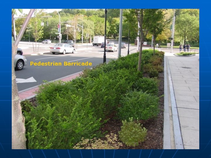 Pedestrian Barricade 