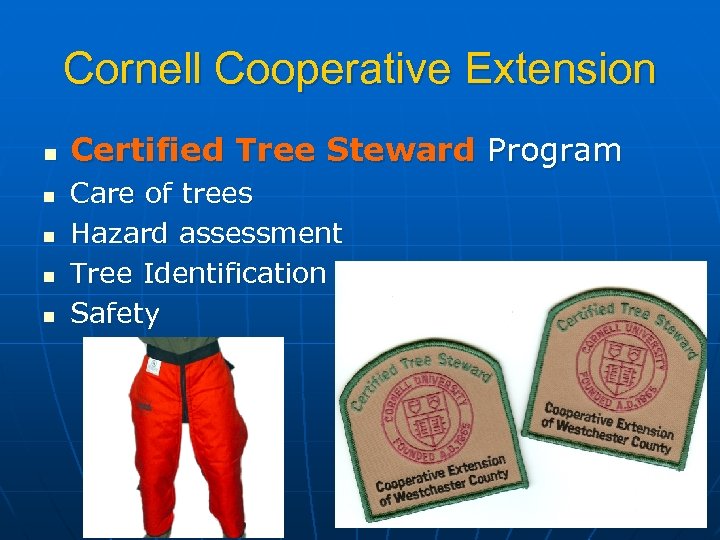 Cornell Cooperative Extension n n Certified Tree Steward Program Care of trees Hazard assessment
