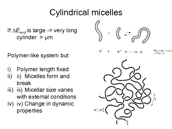 Cylindrical micelles If ∆Eend is large -> very long cylinder > µm Polymer-like system