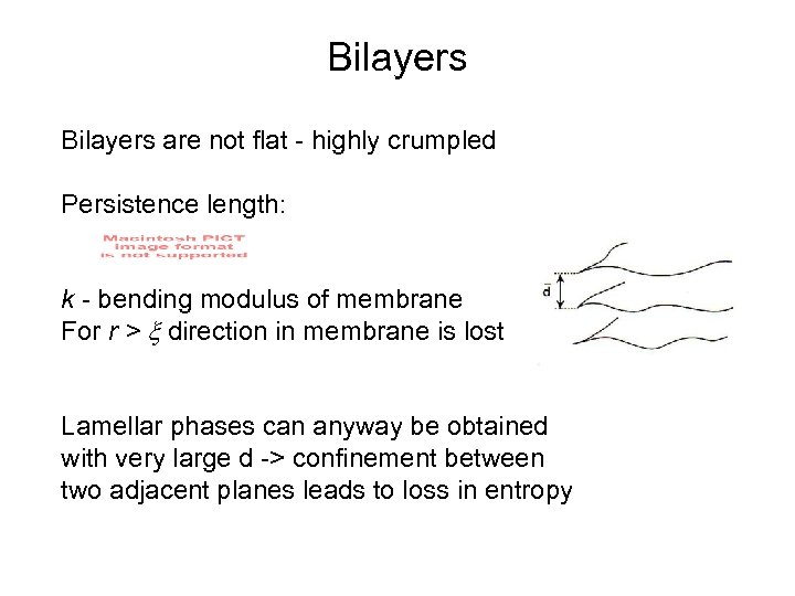 Bilayers are not flat - highly crumpled Persistence length: k - bending modulus of