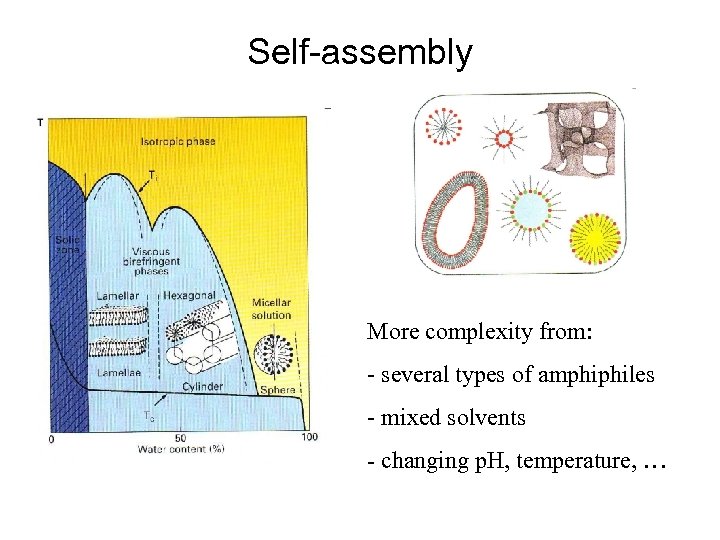Self-assembly More complexity from: - several types of amphiphiles - mixed solvents - changing