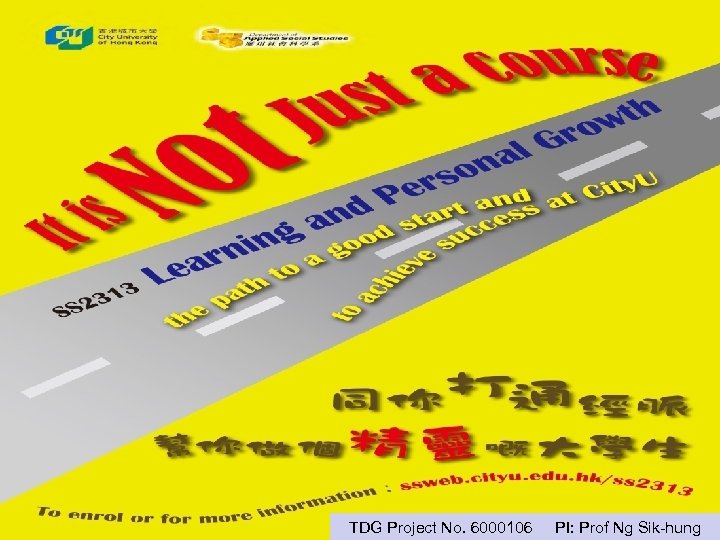 TDG Project No. 6000106 PI: Prof Ng Sik-hung 