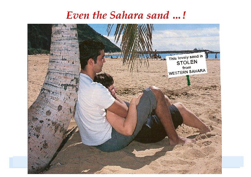 Even the Sahara sand …! 