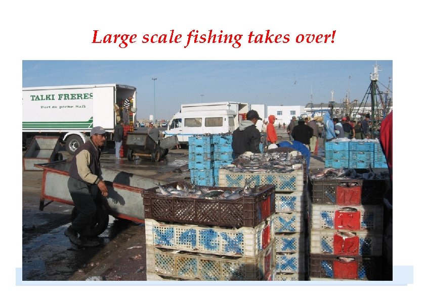 Large scale fishing takes over! 