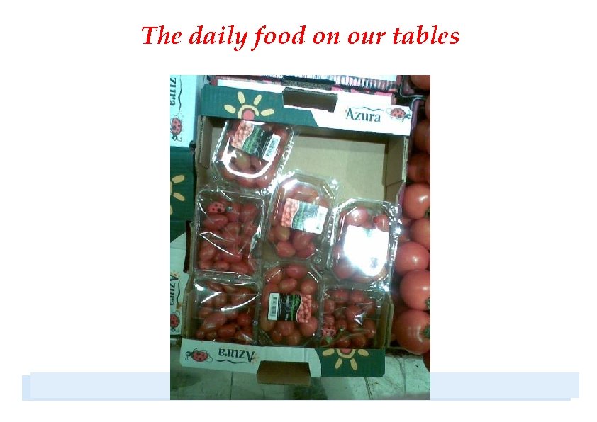 The daily food on our tables 