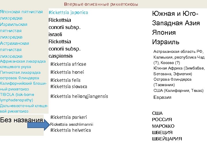  Впервые описанные риккетсиозы Японская пятнистая лихорадка Израильская пятнистая лихорадка Астраханская пятнистая лихорадка Африканская