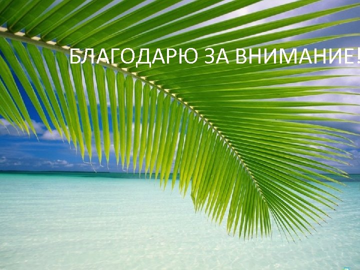 БЛАГОДАРЮ ЗА ВНИМАНИЕ! 
