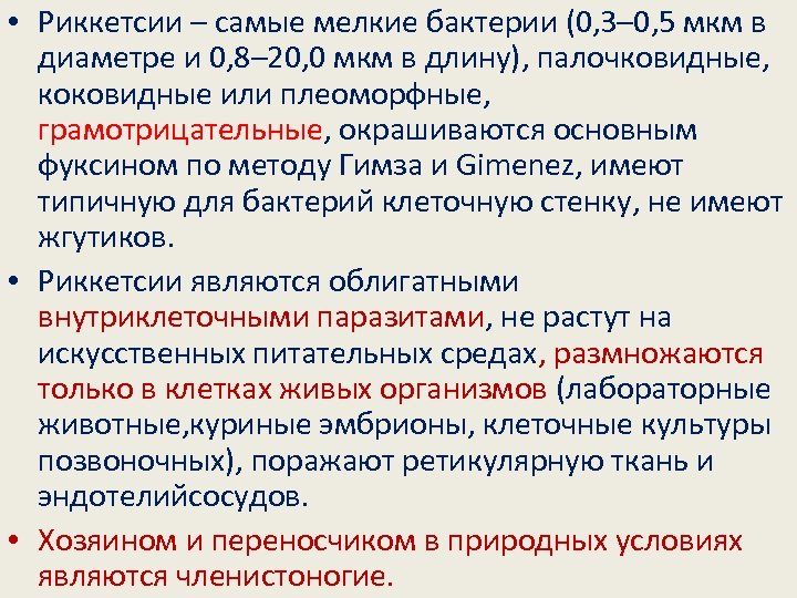  • Риккетсии – самые мелкие бактерии (0, 3– 0, 5 мкм в диаметре