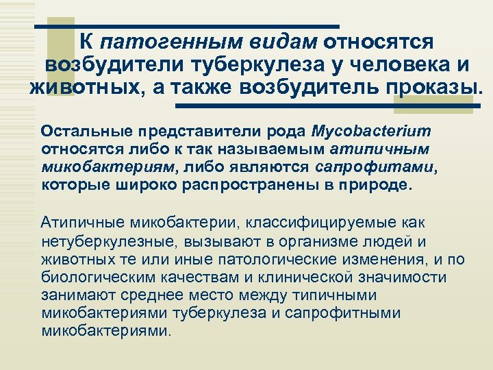 К патогенным видам относятся возбудители туберкулеза у человека и животных, а также возбудитель проказы.