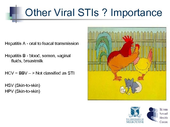 Other Viral STIs ? Importance Hepatitis A - oral to feacal transmission Hepatitis B