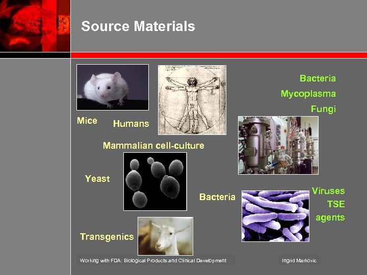 Source Materials Bacteria Mycoplasma Fungi Mice Humans Mammalian cell-culture Yeast Bacteria Viruses TSE agents