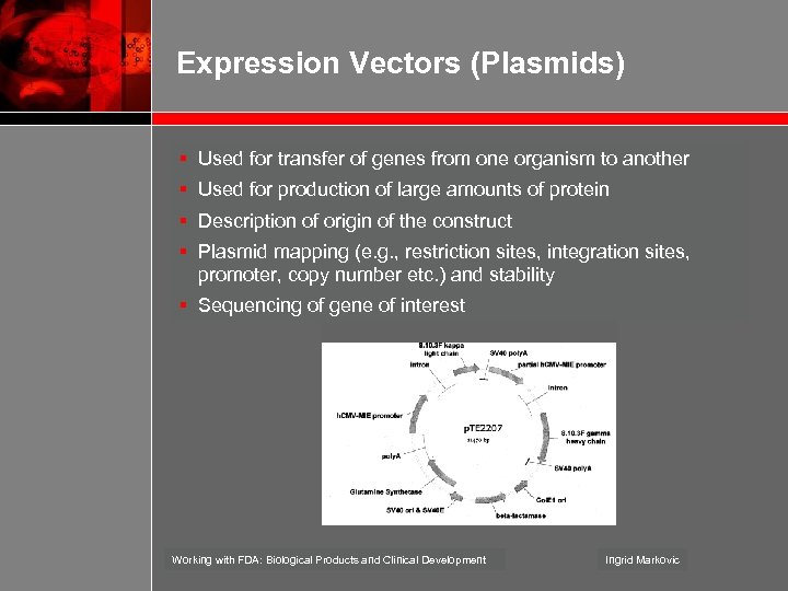 Expression Vectors (Plasmids) § Used for transfer of genes from one organism to another